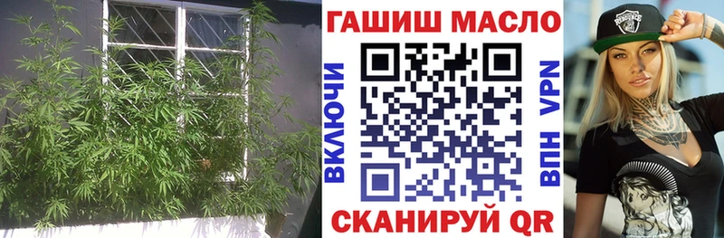 blacksprut зеркало  даркнет сайт  Тайга  ТГК вейп 