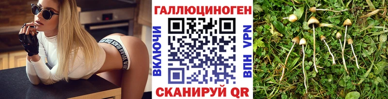 Псилоцибиновые грибы мухоморы  Тайга 